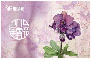 虹越黑五2019年宵花礼5折预售 一起动手过新年，礼品花卉销售引爆节日氛围