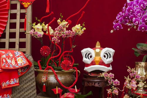 虹越黑五2019年宵花礼5折预售 与家人动手过新年，礼品花卉温暖冬日