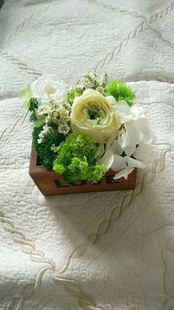 圣诞礼品选购指南 装饰、花卉与节庆百货全攻略