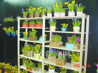 外国展商瞄准中国礼品花卉市场需求 看好市场前景